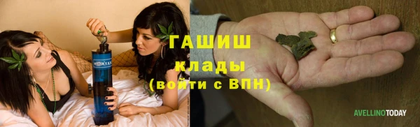 ПСИЛОЦИБИНОВЫЕ ГРИБЫ Алексин