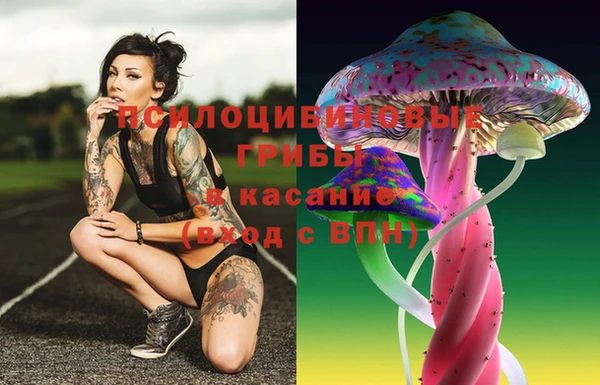 ПСИЛОЦИБИНОВЫЕ ГРИБЫ Алексин