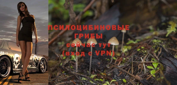 ПСИЛОЦИБИНОВЫЕ ГРИБЫ Алексин